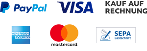 PaypalPlus_300x105px